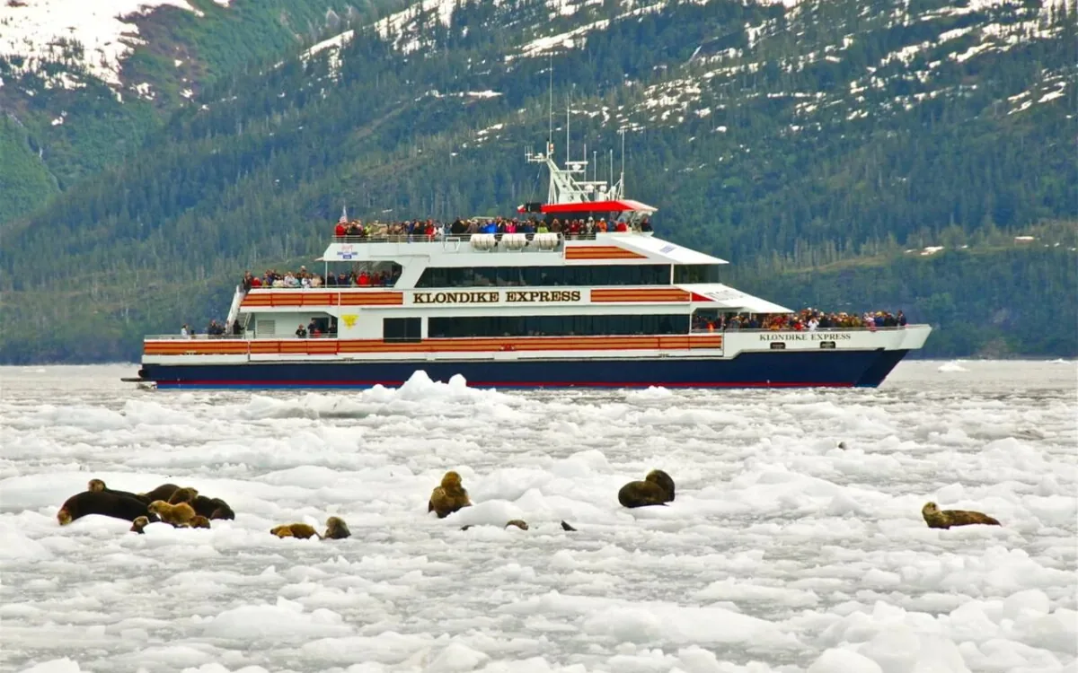 A catamaran among floating ice in Prince William Sound, Alaska