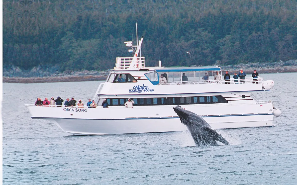 A humpback whale beside a tour boat in Resurrection Bay, Alaska